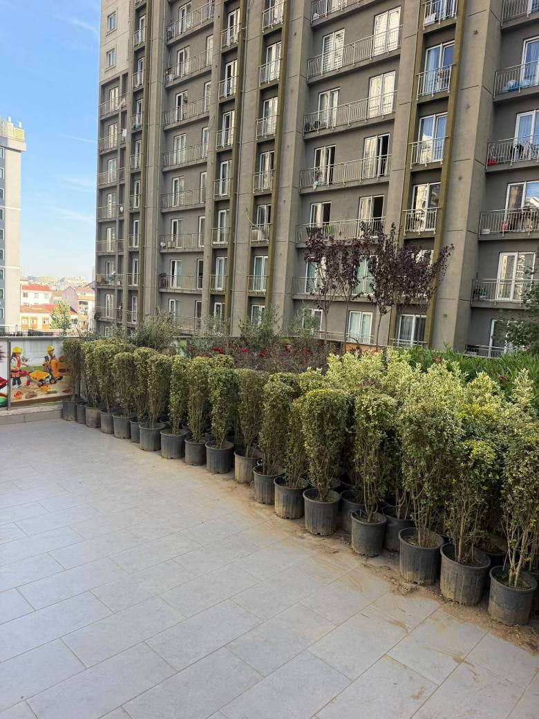 Çit Bitkisi Dikim Hazırlığı — Toplu konut sitesi, İstanbul