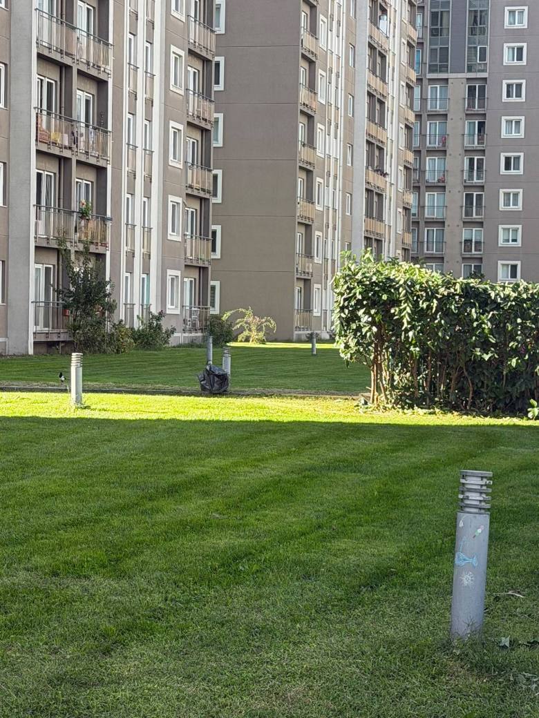 Çim Biçme ve Bahçe Atığı Toplama — Toplu konut sitesi, İstanbul