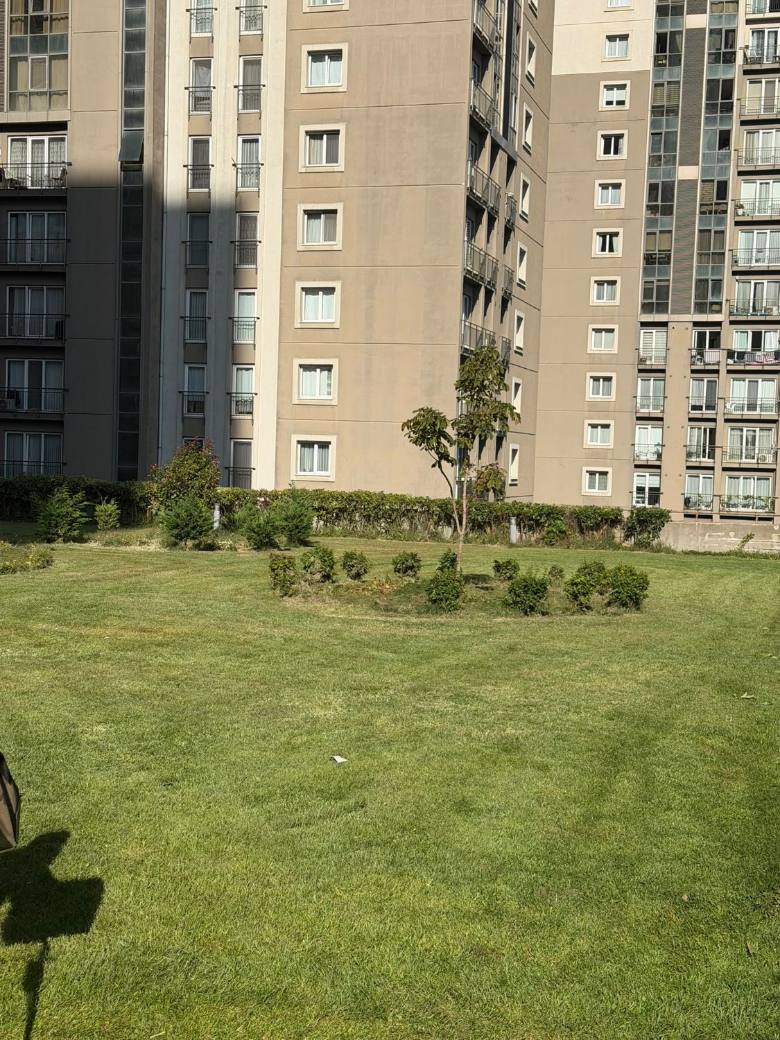 Ağaç Altı Çalı Grubu Düzenlemesi — Toplu konut sitesi, İstanbul
